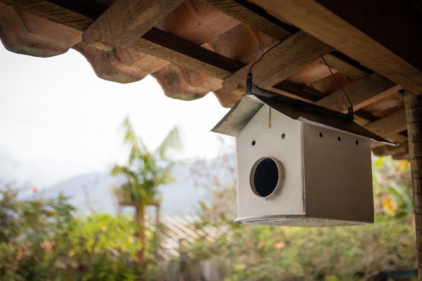 WhatsApp Image 2021-09-01 at 08.20.05 (2).jpeg