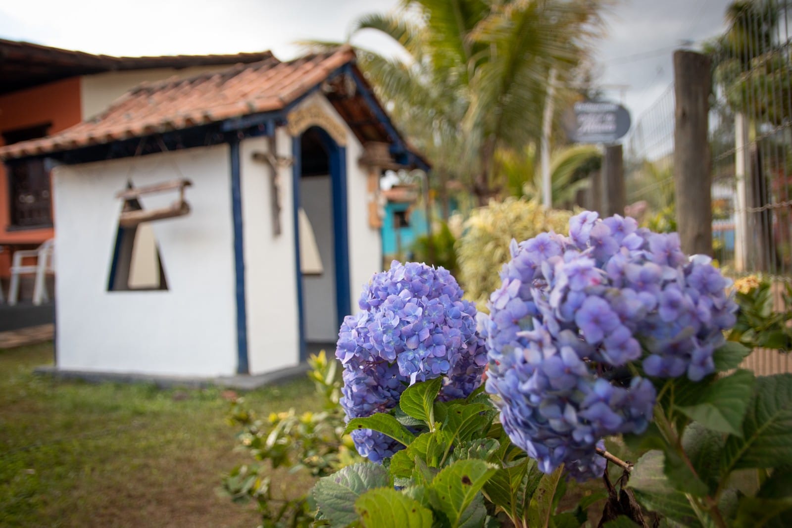 WhatsApp Image 2021-09-01 at 08.20.02 (1).jpeg