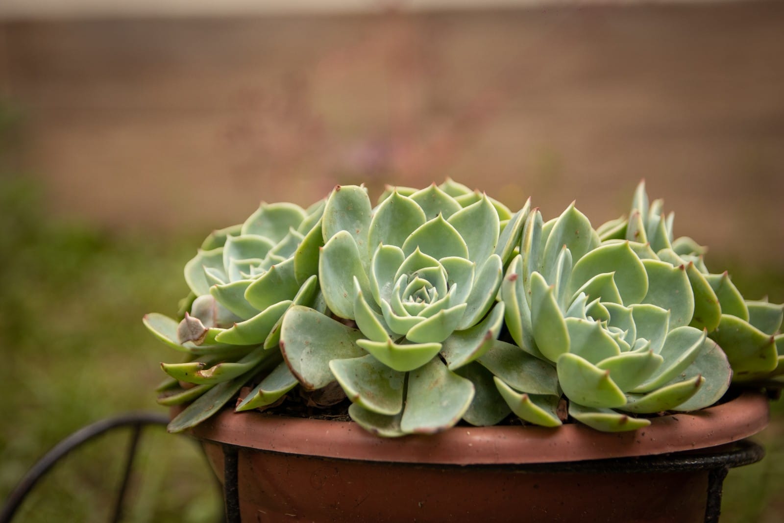 WhatsApp Image 2021-09-01 at 08.20.01 (2).jpeg