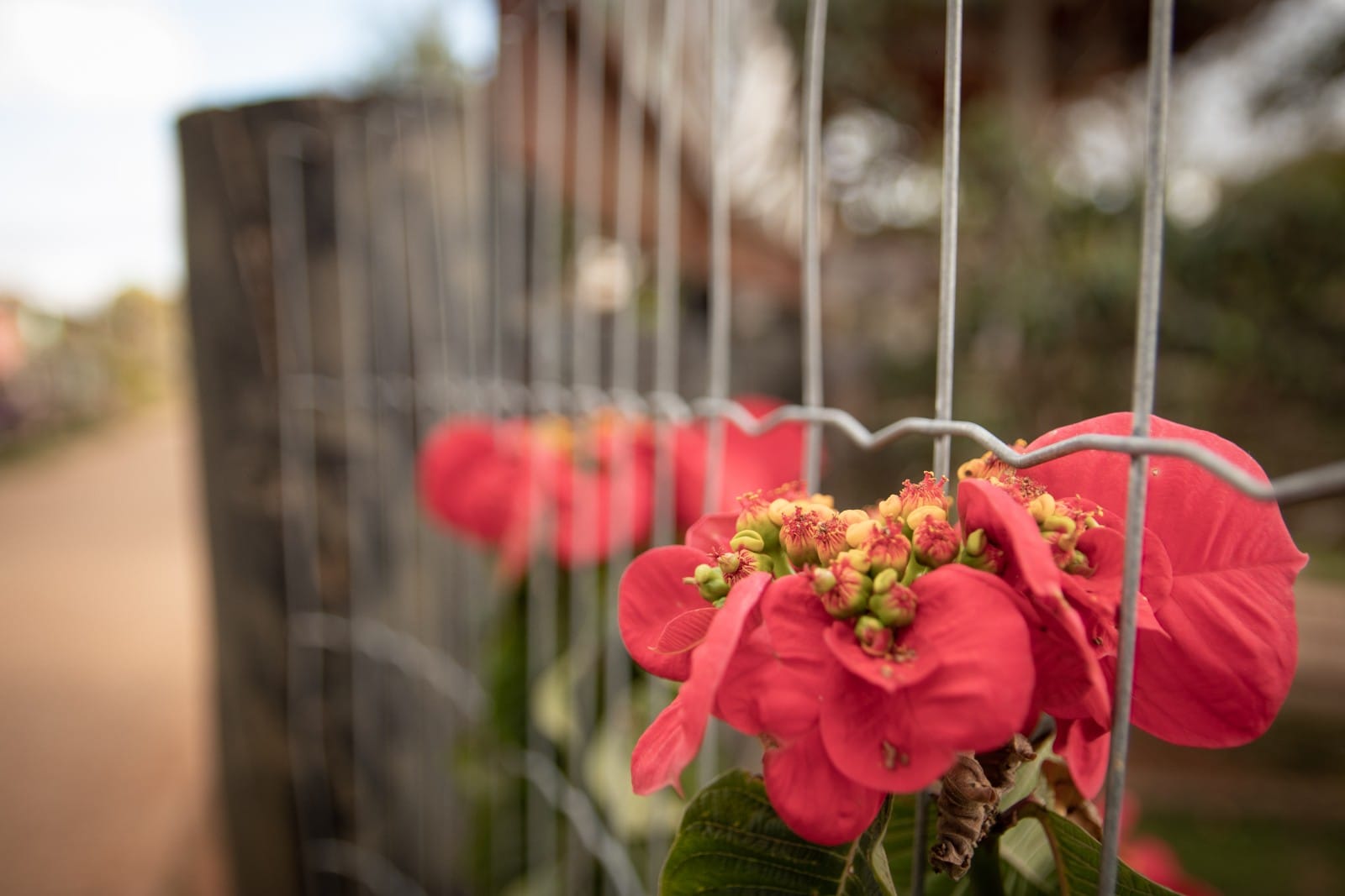 WhatsApp Image 2021-09-01 at 08.20.02.jpeg