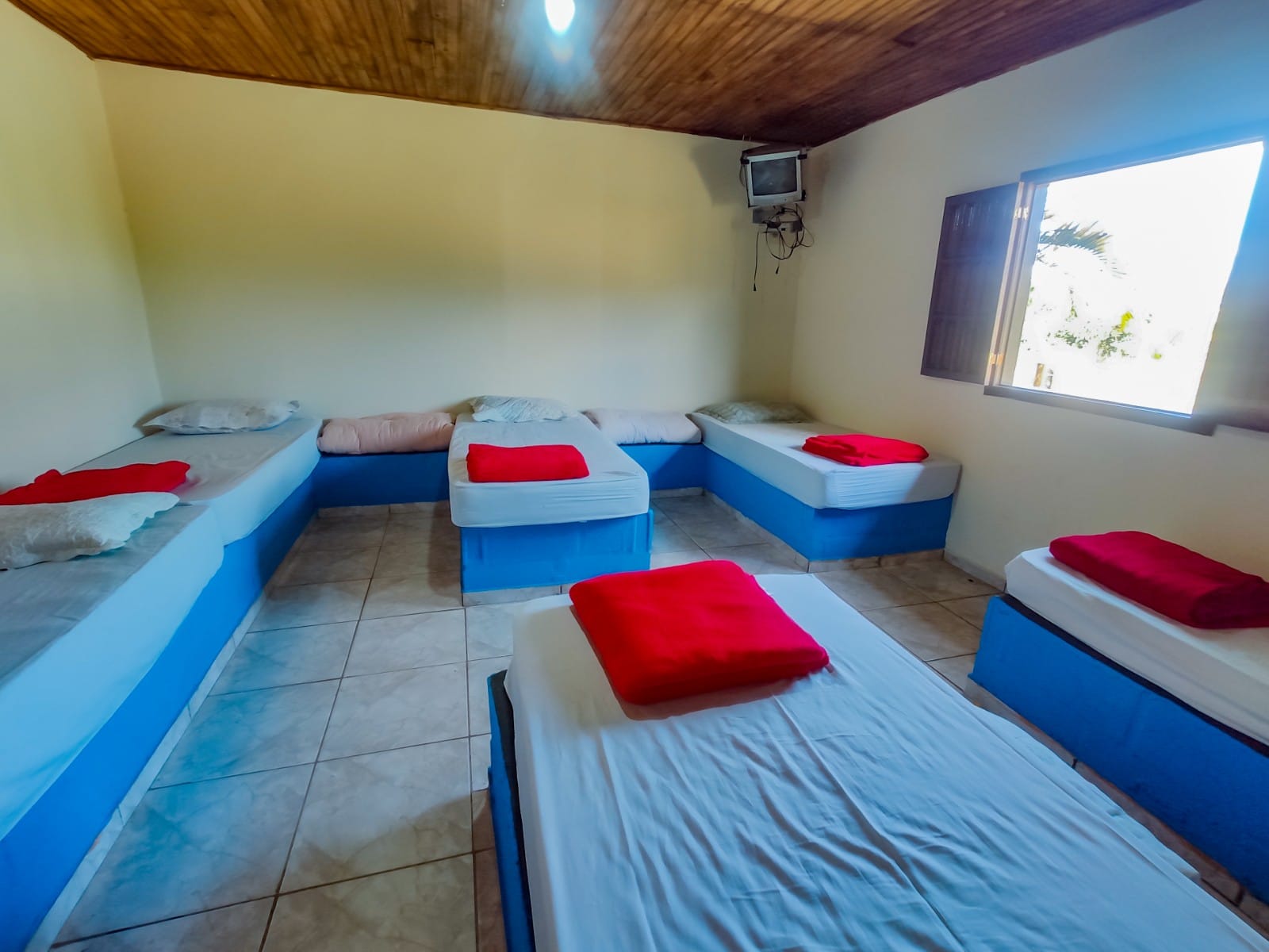 WhatsApp Image 2021-09-01 at 08.18.28.jpeg